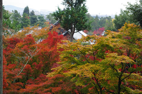 天竜寺