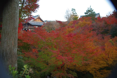 東福寺