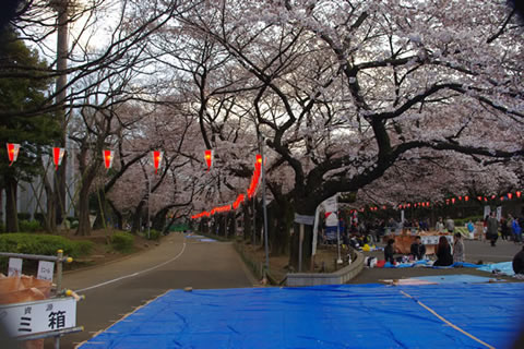 上野公園